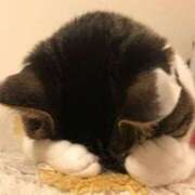 ヒメ日記 2025/07/28 20:52 投稿 れんか Blue Lagoon(ブルーラグーン)