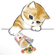 ヒメ日記 2025/11/18 18:51 投稿 れんか Blue Lagoon(ブルーラグーン)