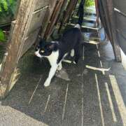 ヒメ日記 2025/09/02 18:22 投稿 さと an_an（アンアン）