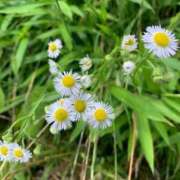 ヒメ日記 2025/06/30 19:09 投稿 すあ デザインプリズム新宿