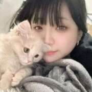 ヒメ日記 2026/03/08 00:06 投稿 ヒナノ ロボットデリヘル