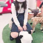 ヒメ日記 2025/03/09 08:26 投稿 きい 鹿鳴館