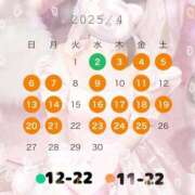 ヒメ日記 2025/03/26 12:06 投稿 きい 鹿鳴館