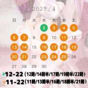 ヒメ日記 2025/04/01 08:16 投稿 きい 鹿鳴館