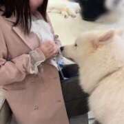 ヒメ日記 2025/04/11 08:07 投稿 きい 鹿鳴館