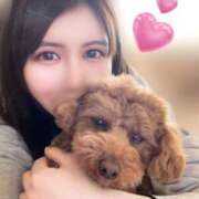 ヒメ日記 2025/04/13 18:16 投稿 きい 鹿鳴館