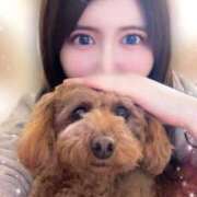 ヒメ日記 2025/04/21 15:36 投稿 きい 鹿鳴館