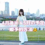 ヒメ日記 2025/04/27 12:07 投稿 きい 鹿鳴館