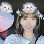 ヒメ日記 2025/04/29 08:16 投稿 きい 鹿鳴館