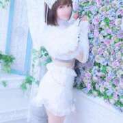 ヒメ日記 2025/05/06 08:06 投稿 きい 鹿鳴館