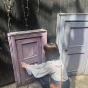 ヒメ日記 2025/05/17 10:56 投稿 きい 鹿鳴館