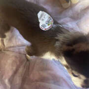 ヒメ日記 2025/11/12 08:51 投稿 みやび 彼女の部屋本店