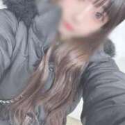 ヒメ日記 2025/03/04 01:07 投稿 ケイト(奥方) 奥様幕府