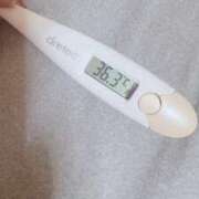 ヒメ日記 2025/03/04 15:20 投稿 ケイト(奥方) 奥様幕府