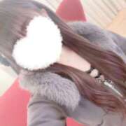 ヒメ日記 2025/03/06 00:52 投稿 ケイト(奥方) 奥様幕府