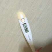 ヒメ日記 2025/03/07 15:02 投稿 ケイト(奥方) 奥様幕府