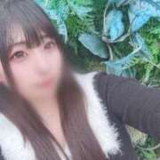 ヒメ日記 2025/03/09 06:57 投稿 ケイト(奥方) 奥様幕府