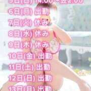 ヒメ日記 2025/04/05 00:07 投稿 ケイト(奥方) 奥様幕府