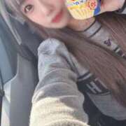 ヒメ日記 2025/04/06 11:27 投稿 ケイト(奥方) 奥様幕府