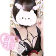 ヒメ日記 2025/04/06 11:52 投稿 ケイト(奥方) 奥様幕府