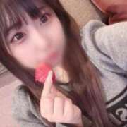 ヒメ日記 2025/04/11 02:17 投稿 ケイト(奥方) 奥様幕府