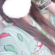 ヒメ日記 2025/04/13 01:27 投稿 ケイト(奥方) 奥様幕府