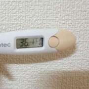 ヒメ日記 2025/06/18 15:18 投稿 ケイト(奥方) 奥様幕府