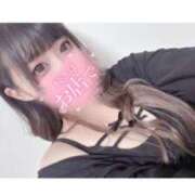 ヒメ日記 2025/06/18 21:27 投稿 ケイト(奥方) 奥様幕府