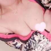 ヒメ日記 2025/07/06 04:31 投稿 ケイト(奥方) 奥様幕府