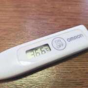 ヒメ日記 2025/07/06 11:41 投稿 ケイト(奥方) 奥様幕府