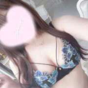 ヒメ日記 2025/07/10 03:53 投稿 ケイト(奥方) 奥様幕府