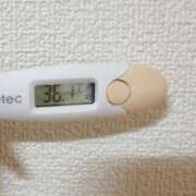 ヒメ日記 2025/07/10 13:57 投稿 ケイト(奥方) 奥様幕府