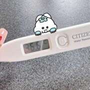 ヒメ日記 2025/07/20 13:37 投稿 ケイト(奥方) 奥様幕府