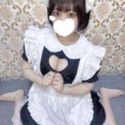 ヒメ日記 2025/07/23 17:07 投稿 ケイト(奥方) 奥様幕府