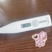 ヒメ日記 2025/08/17 13:57 投稿 ケイト(奥方) 奥様幕府