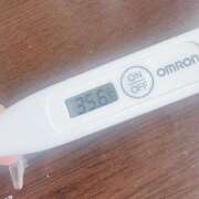 ヒメ日記 2025/08/20 13:57 投稿 ケイト(奥方) 奥様幕府