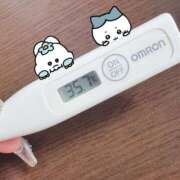 ヒメ日記 2025/08/21 14:17 投稿 ケイト(奥方) 奥様幕府