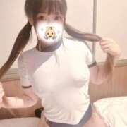 ヒメ日記 2025/09/06 23:17 投稿 ケイト(奥方) 奥様幕府