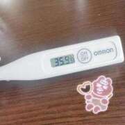 ヒメ日記 2025/09/08 14:17 投稿 ケイト(奥方) 奥様幕府