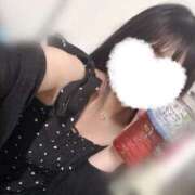 ヒメ日記 2025/09/23 03:37 投稿 ケイト(奥方) 奥様幕府