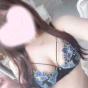 ヒメ日記 2025/10/03 07:07 投稿 ケイト(奥方) 奥様幕府