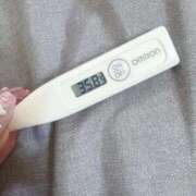 ヒメ日記 2025/10/03 13:57 投稿 ケイト(奥方) 奥様幕府