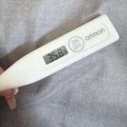 ヒメ日記 2025/10/05 13:57 投稿 ケイト(奥方) 奥様幕府