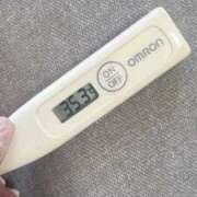 ヒメ日記 2025/10/23 14:35 投稿 ケイト(奥方) 奥様幕府