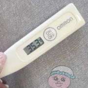 ヒメ日記 2025/11/06 14:17 投稿 ケイト(奥方) 奥様幕府