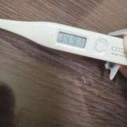 ヒメ日記 2025/12/04 13:57 投稿 ケイト(奥方) 奥様幕府