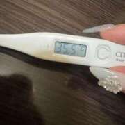 ヒメ日記 2025/12/06 14:07 投稿 ケイト(奥方) 奥様幕府