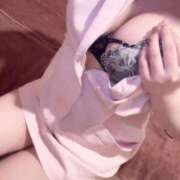 ヒメ日記 2025/12/14 05:17 投稿 ケイト(奥方) 奥様幕府