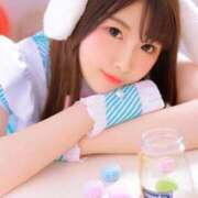 ヒメ日記 2025/03/14 10:15 投稿 ちむ先生 アロー