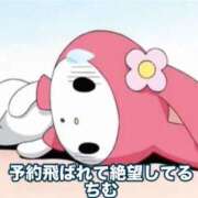 ヒメ日記 2025/03/18 14:08 投稿 ちむ先生 アロー